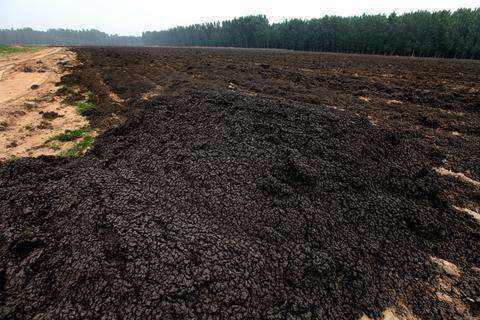 污泥深度脫水技術及優(yōu)缺點