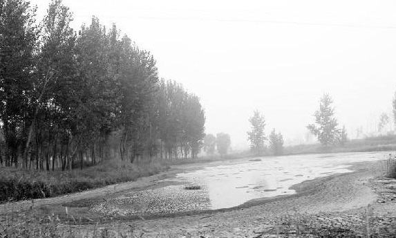 造紙污泥工業(yè)資源化利用新方向 造紙污泥工業(yè)資源化利用新方向