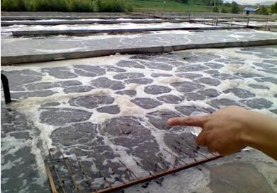 污泥膨脹的成因 污泥膨脹的成因