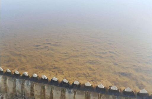 污泥膨脹的解決措施