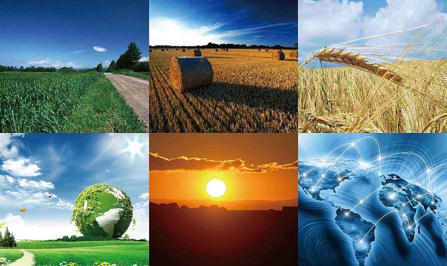 生物質鍋爐的類型