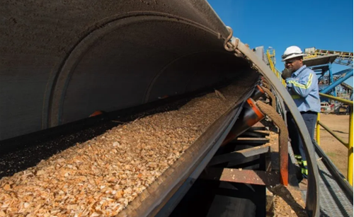 中國的生物質(zhì)能行業(yè)有哪些破局的方向和可能